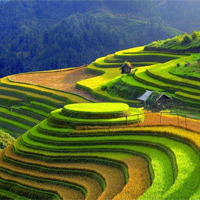 Bộ đề đọc hiểu Đất nước Nguyễn Đình Thi (Có đáp án)