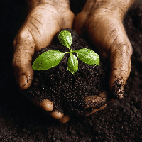 Văn mẫu lớp 7: Dàn ý giải thích câu tục ngữ Tấc đất tấc vàng (3 mẫu) 