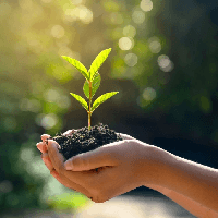 Văn mẫu lớp 7: Đoạn văn chứng minh câu tục ngữ Ăn quả nhớ kẻ trồng cây (3 mẫu)