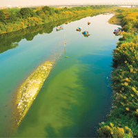 Văn mẫu lớp 12: Dàn ý cảm nhận vẻ đẹp sông Hương trong lòng thành phố Huế (5 Mẫu)
