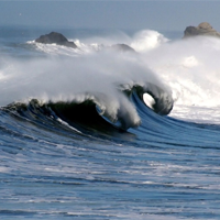 Văn mẫu lớp 12: Dàn ý phân tích 2 khổ đầu bài Sóng (4 Mẫu)