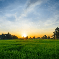 Tập làm văn lớp 5: Tả cảnh bình minh ở nơi em sống (2 mẫu)