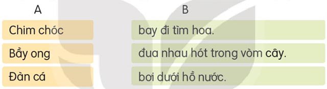 Nối cột