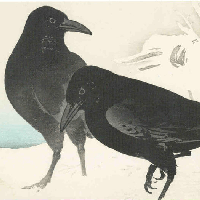 Soạn bài Chùm thơ hai-cư Nhật Bản - Kết nối tri thức 10