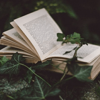 Soạn bài Thực hành tiếng Việt trang 48 - Cánh diều 7