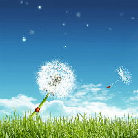 Soạn bài Trở gió - Kết nối tri thức 7