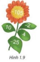 Hình 1.9