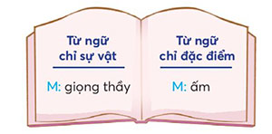 Tìm từ ngữ chỉ sự vật