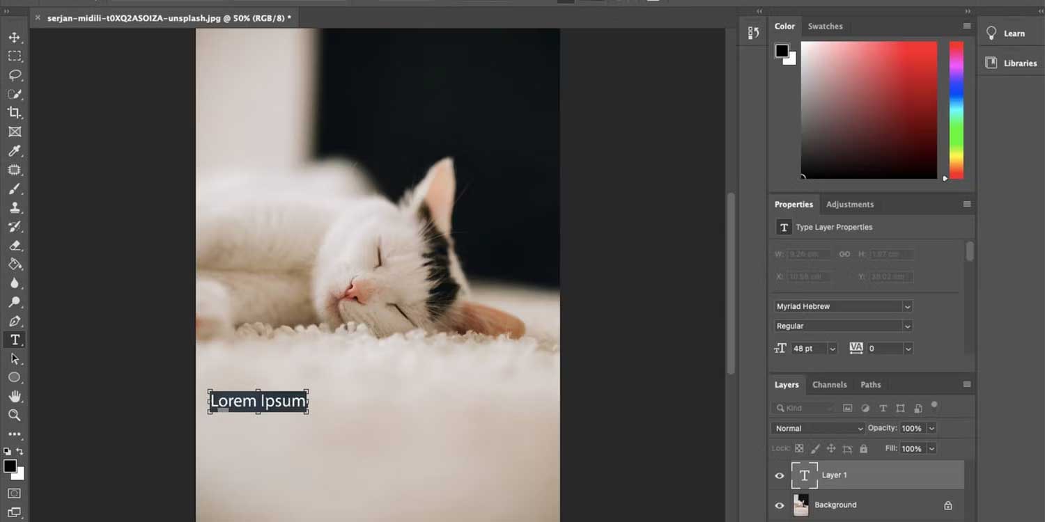 Chèn chữ vào ảnh bằng Photoshop