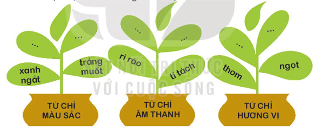 Luyện từ và câu