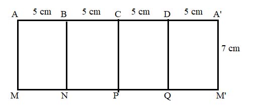 Hình 11
