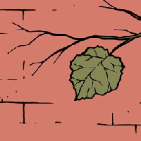 Soạn bài Sức hấp dẫn của truyện ngắn “Chiếc lá cuối cùng” - Chân trời sáng tạo 7