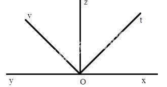 Bài 7