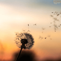 Soạn bài Thảo luận về một vấn đề có những ý kiến khác nhau - Cánh diều 10 