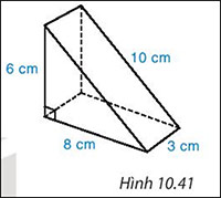 Hình 10.41