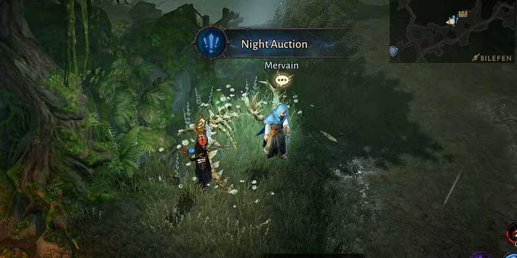 Night Auction