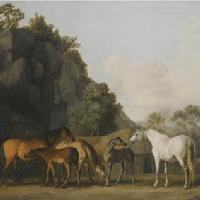 Soạn bài Lí ngựa ô ở hai vùng đất - Chân trời sáng tạo 10