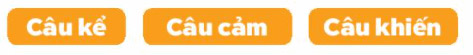 Câu 2
