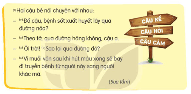 Kiểu câu