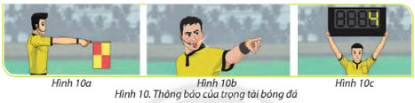 Hình 10