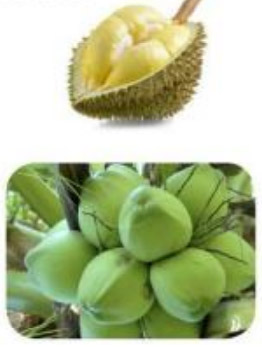 Chọn chữ hoặc vần phù hợp