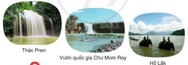 Câu 2
