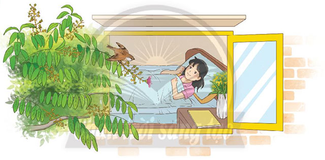 Chú sẻ và bông hoa bằng lăng