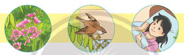 Chú sẻ và bông hoa bằng lăng