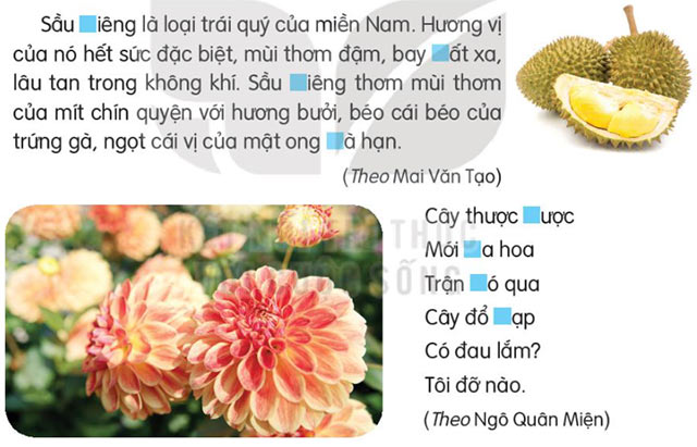  Chọn r, d hoặc gi 