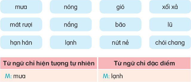 Xếp các từ ngữ