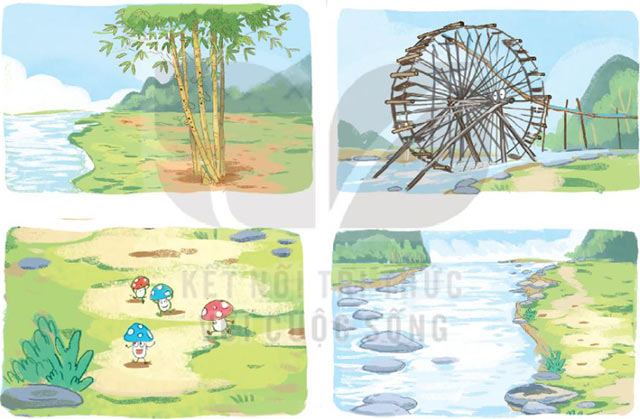 Ngày hội rừng xanh