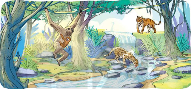 Ngày hội rừng xanh