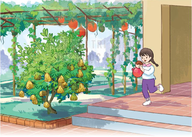  Tìm và gọi tên các sự vật 