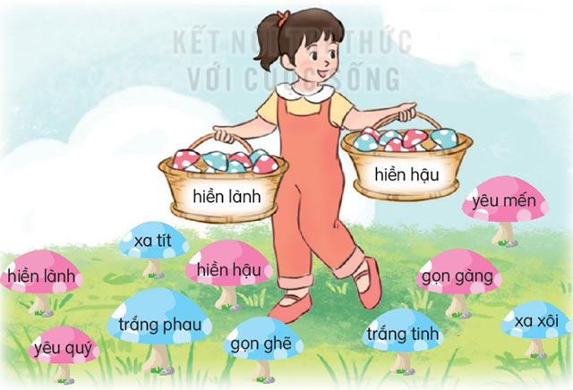 Cặp từ có nghĩa giống nhau