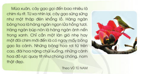 Tìm những sự vật được so sánh với nhau
