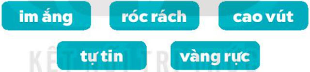 Chọn từ ngữ chỉ đặc điểm