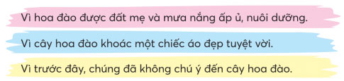 Chiếc áo của hoa đào