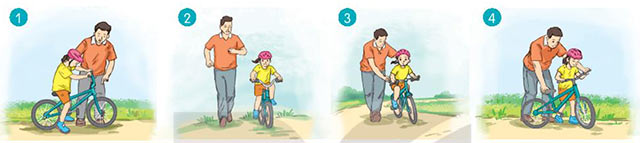 Sắp xếp các tranh