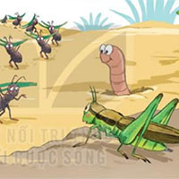 Soạn bài Ngày như thế nào là đẹp? (trang 62)