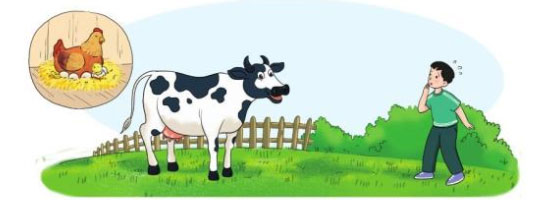 Trao đổi Kì nghỉ thú vị