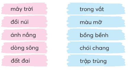 Chọn từ ngữ chỉ đặc điểm