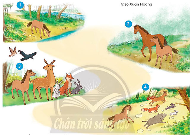 Cuộc chạy đua trong rừng