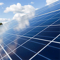 KHTN Lớp 7 Bài 22: Vai trò của trao đổi chất và chuyển hóa năng lượng ở sinh vật