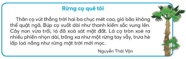 Rừng cọ quê tôi