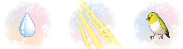 Đọc lại truyện Giọt sương