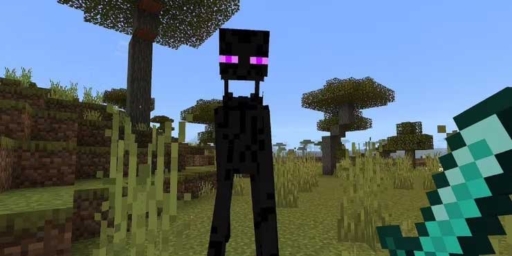  Endermen 