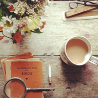 Soạn bài Thực hành tiếng Việt trang 83 - Kết nối tri thức 7