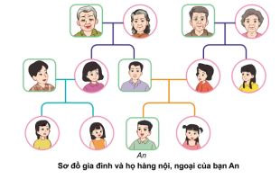 Giáo án Tự nhiên xã hội lớp 3