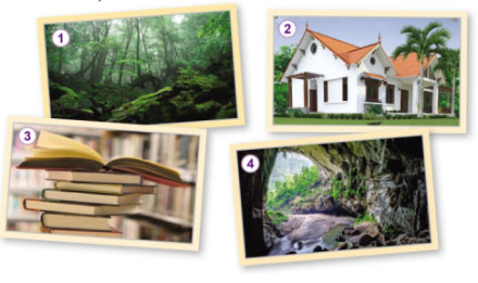 Giáo án Công nghệ lớp 3