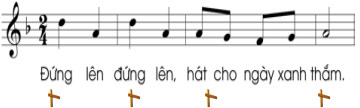 Hoạt động cả lớp